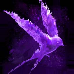 Purple Swallow Animated