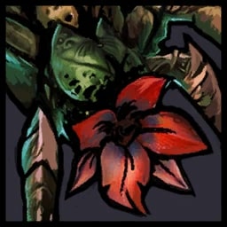Arachas